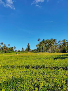 Bendungan Fatukoa, Kota Kupang-Ntt, Indonesia 5 Bendungan Fatukoa Kota Kupang Ntt Indonesia 05
