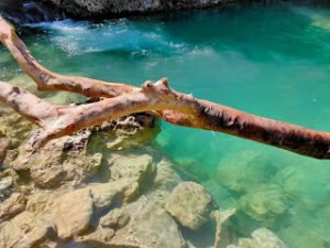 Kolam Lihu Nunu Btn Kolhua, Kota Kupang-Nusa Tenggara Timur, Indonesia KOLAM LIHU NUNU BTN KOLHUA KOTA KUPANG NUSA TENGGARA TIMUR INDONESIA 01 300x225