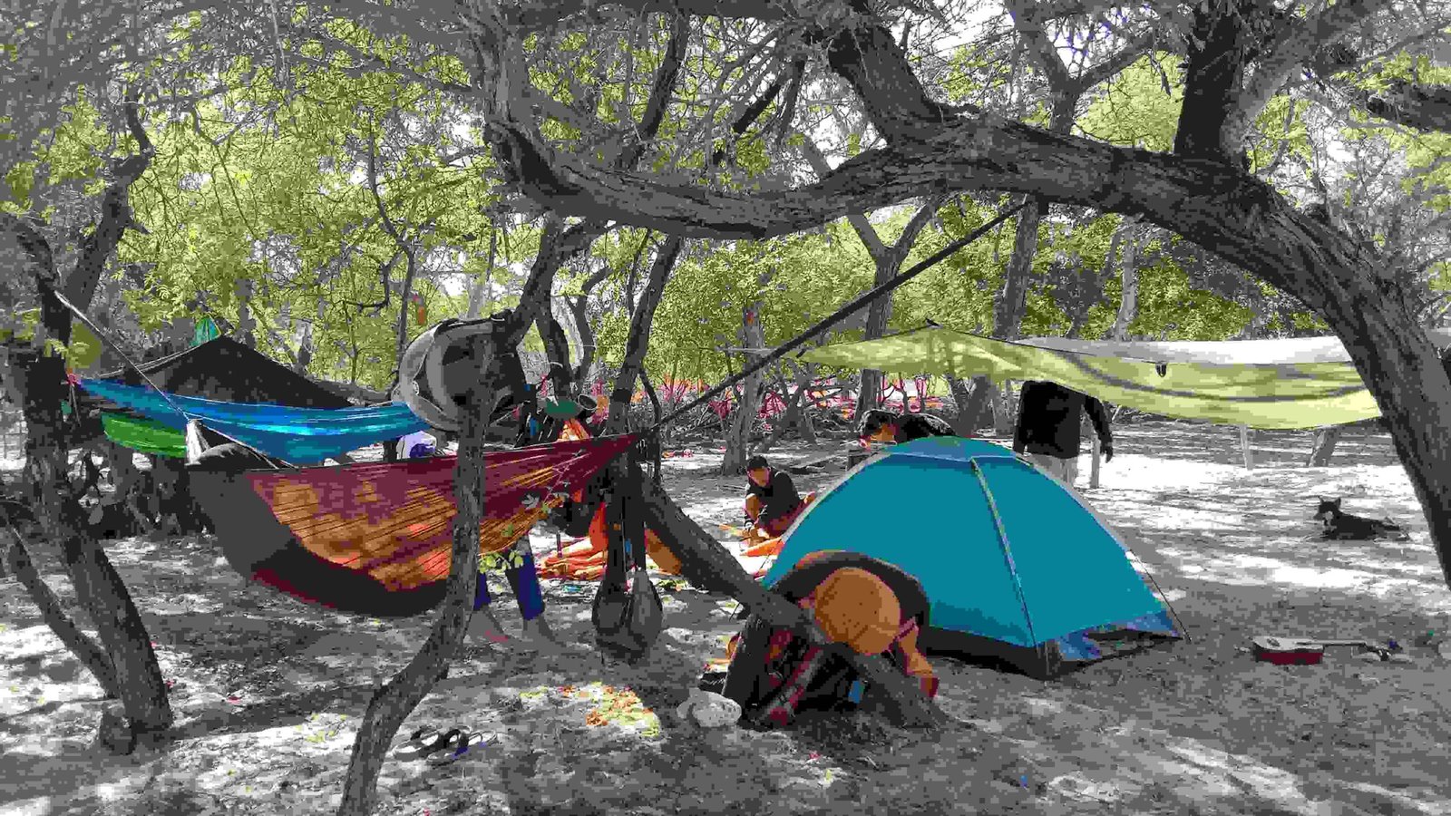 Eksotisnya Pantai Puru, Merbaun,Kec. Amarasi Barat, Kab. Kupang 4 Scaled