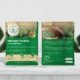 Moringa Tea Bag