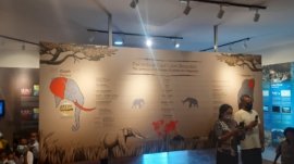 Pusat Informasi Geologi - Museum Daerah NTT