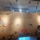 Pusat Informasi Geologi - Museum Daerah NTT