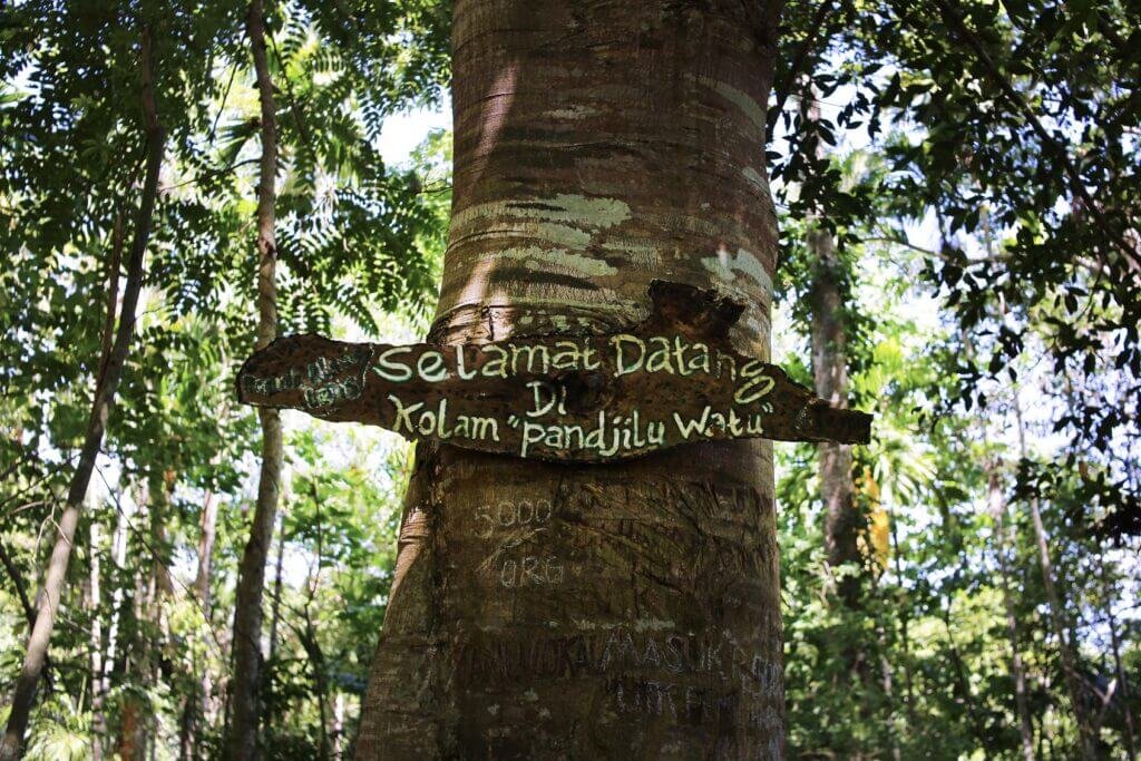 Penanda kayu dan pepohonan di kawasan Pandjilu Watu