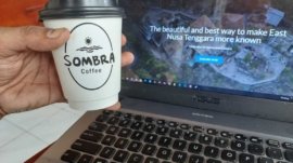 Edri Brow di Sombra Coffee