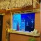 D21 Caffee Petuk Kota Kupang Bar