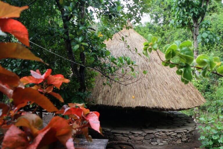 Menjelajahi Budaya Desa Adat Boti Dalam di Nusa Tenggara Timur