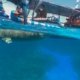Wisata Mawar Dugong