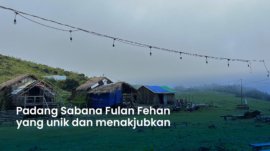 Padang Sabana Fulan Fehan yang unik dan menakjubkan