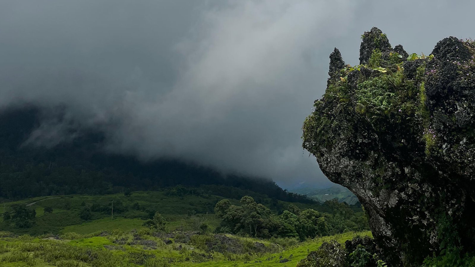 Padang Sabana Fulan Fehan yang unik dan menakjubkan Padang Sabana Fulan Fehan Yang Unik Dan Menakjubkan 3