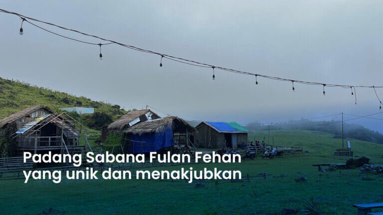 Padang Sabana Fulan Fehan Yang Unik Dan Menakjubkan 768x432