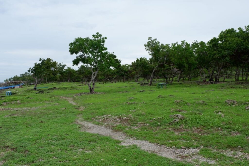 Area Sekitar Pantai Kelapa Satu Kota Kupang 1024x683