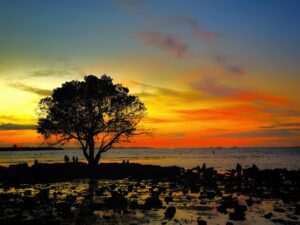Pohon Jomblo dan Sunset di Pantai Oesapa - Kombinasi yang Wajib Kamu Kunjungi