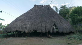 P1090736