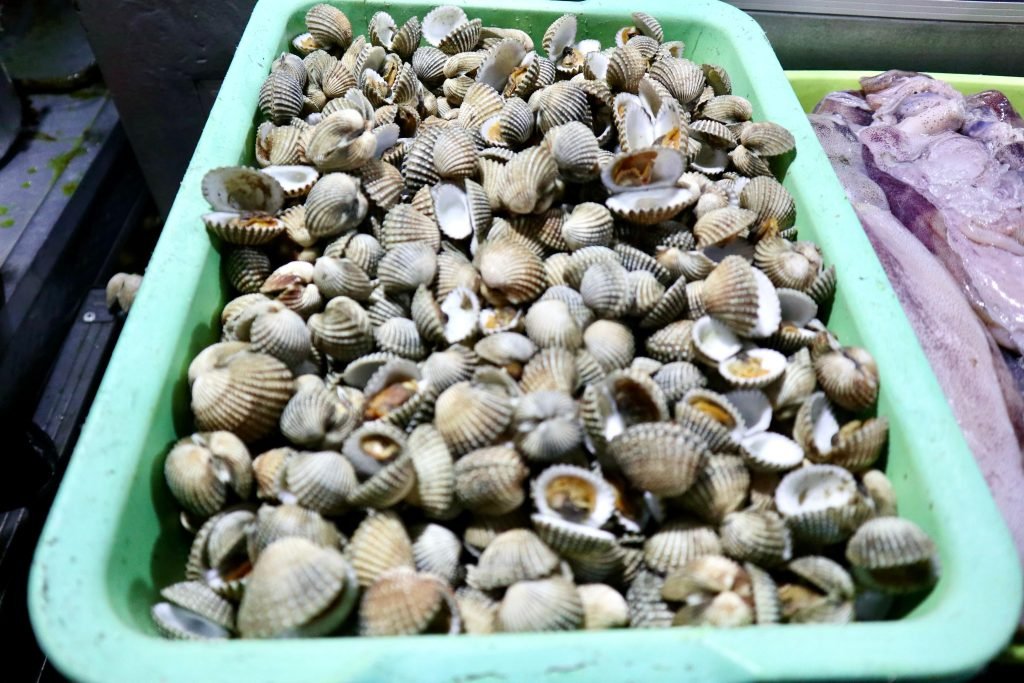 Kerang dalam wadah di lapak seafood Kampung Solor