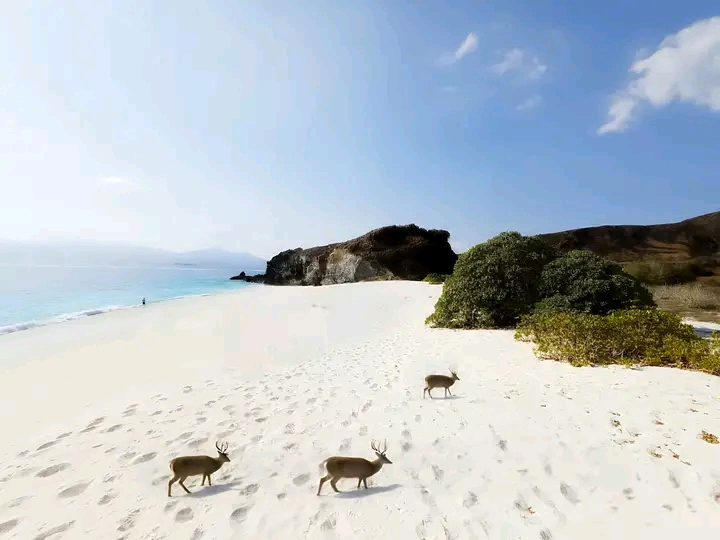 Destinasi Wisata Alam Dengan Nuansa Mistis, Wajib Dikunjungi 1 1758950579905