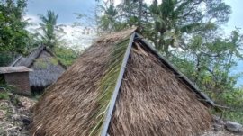 Menjaga Warisan di Napaulun Gotong Royong Memperbaiki Rumah Adat Lado Purab