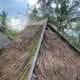 Menjaga Warisan di Napaulun Gotong Royong Memperbaiki Rumah Adat Lado Purab