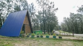 Pesona Kampung Wisata Fatumnasi, Surga Tersembunyi di Kaki Gunung Mutis