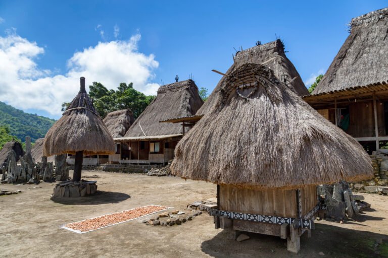 Rumah dan bangunan adat Kampung Bena di Ngada